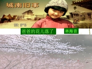 第2课-爸爸的花儿落了
