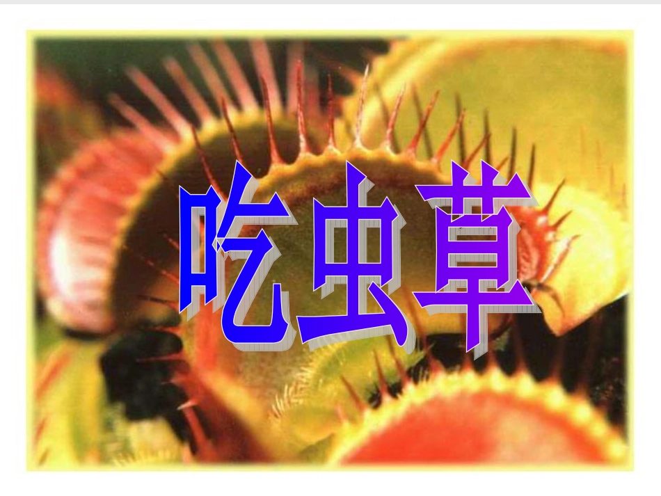 人美版小学三年级美术下册《吃虫草》课件3_第1页