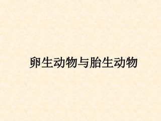 卵生动物与胎生动物