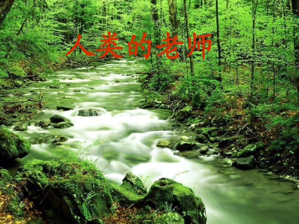 11.我是校园小主人-(2)_第1页