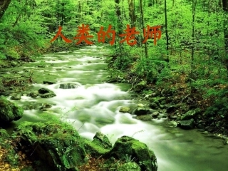 11.我是校园小主人-(2)