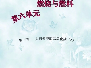 第三节大自然中的二氧化碳-(3)