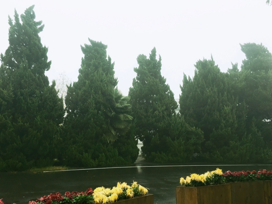 第一课追寻美术家的视线_第3页