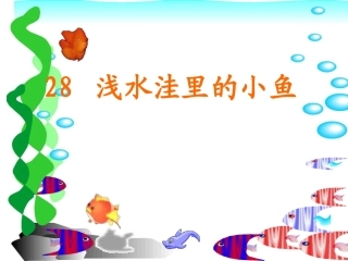 浅水洼里的小鱼