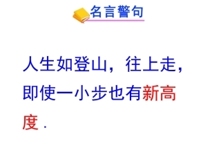 三角形的角平分线-中线-和高线