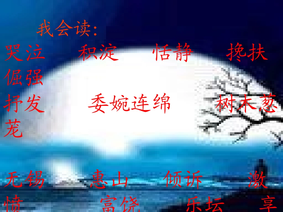 苏教版五年级语文10《二泉映月》ppt课件 (2)_第3页