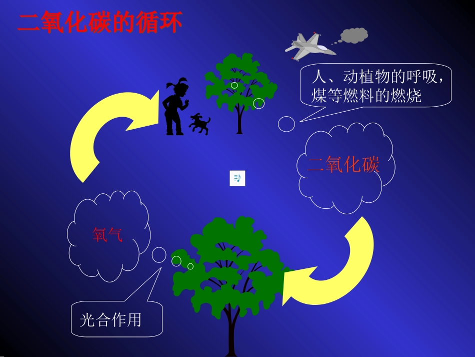 第三节大自然中的二氧化碳_第2页