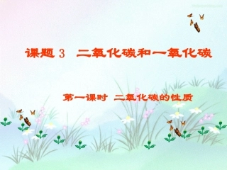 第三节大自然中的二氧化碳