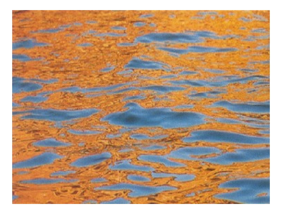 14.彩墨游戏(二)-课件_第3页