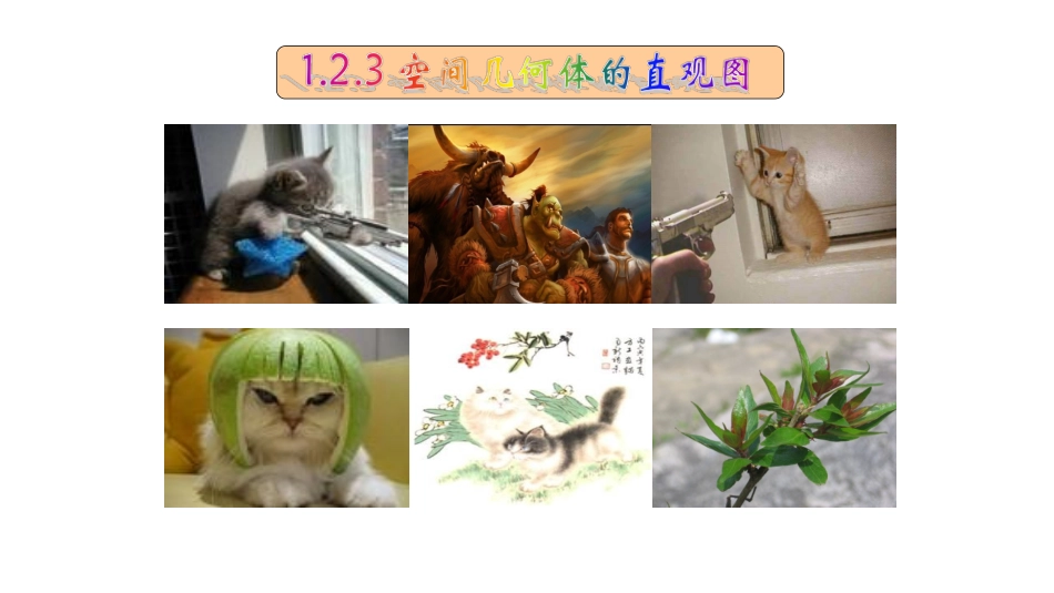 1.2.3空间几何体的直观图 (5)_第1页