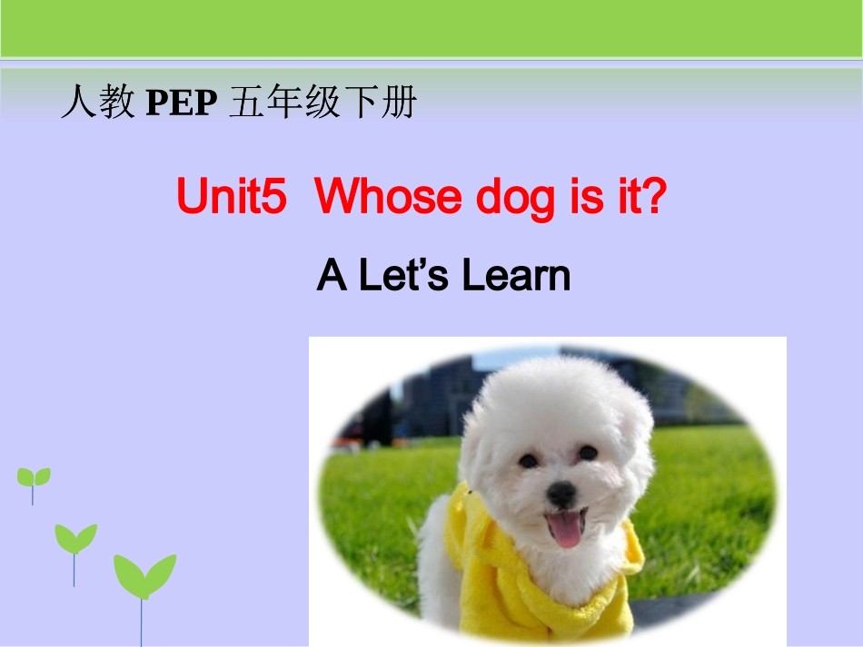 Unit5-Whose-dog-is-it？-第2课时教学课件_第1页
