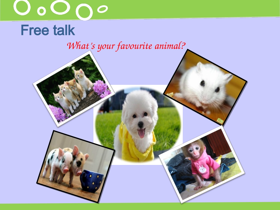 Unit5-Whose-dog-is-it？-第2课时教学课件_第3页