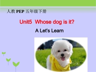 Unit5-Whose-dog-is-it？-第2课时教学课件