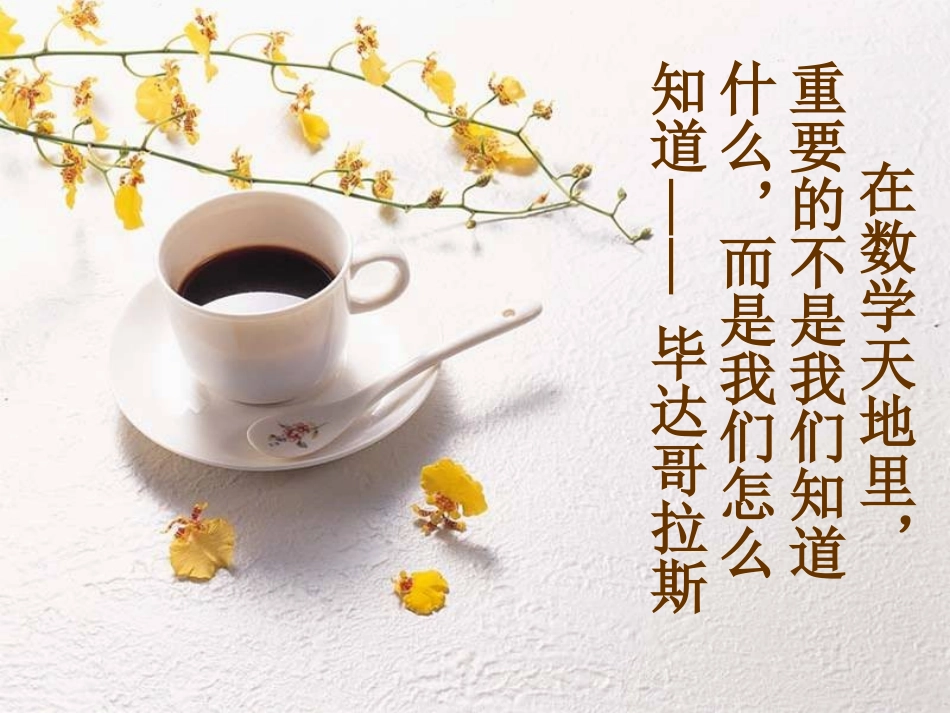 探索平行的条件_第1页