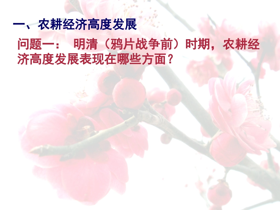 6近代前夜的发展与迟滞_第2页