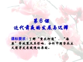 6近代前夜的发展与迟滞