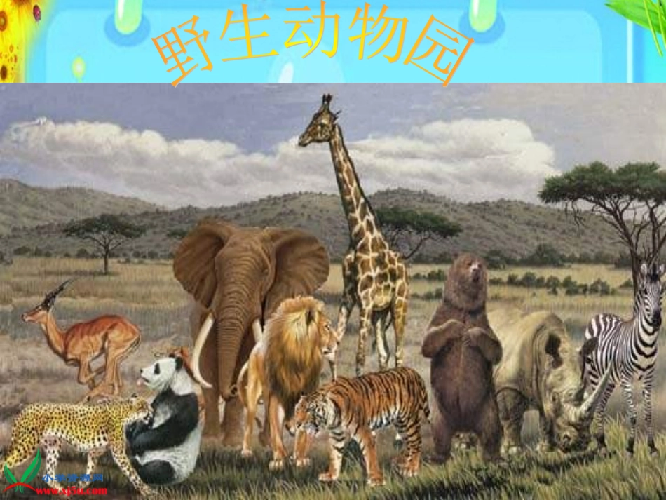 SX105小学数学一年级上册《1-5的认识》(人教版)6_第3页