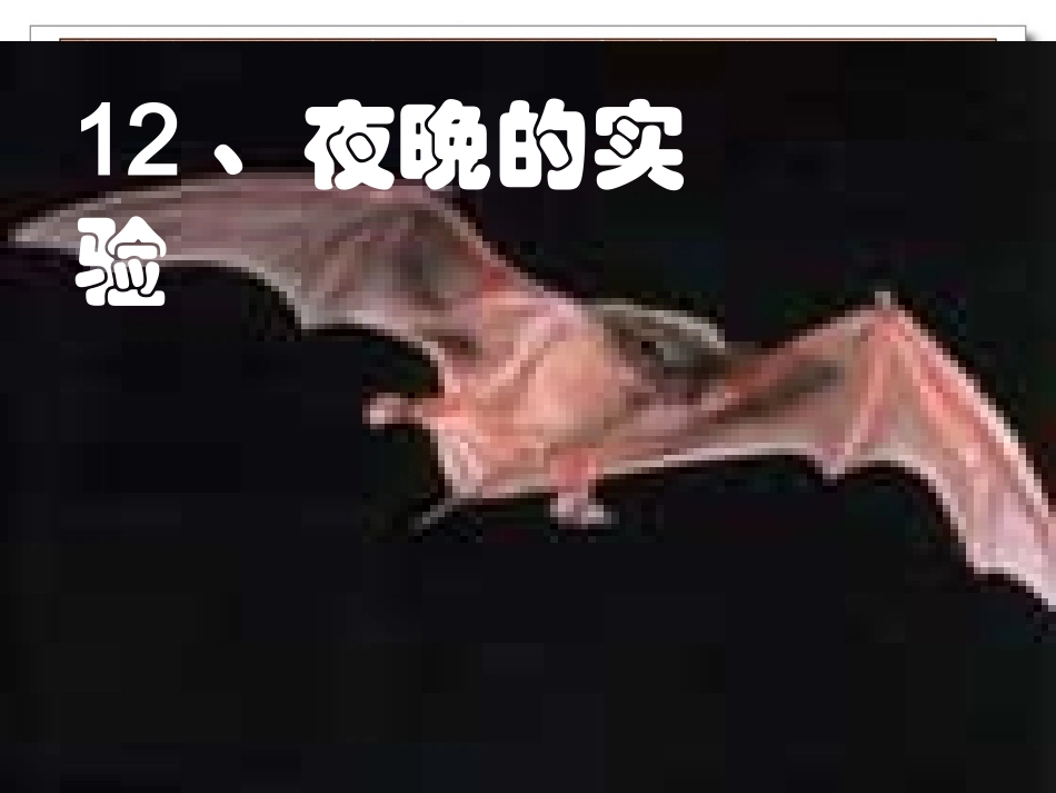 12夜晚的实验-(5)_第1页