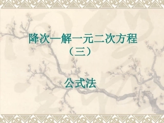 九年级数学-公式法解方程.2.公式法解方程