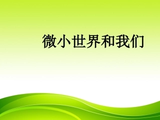 微小世界和我们