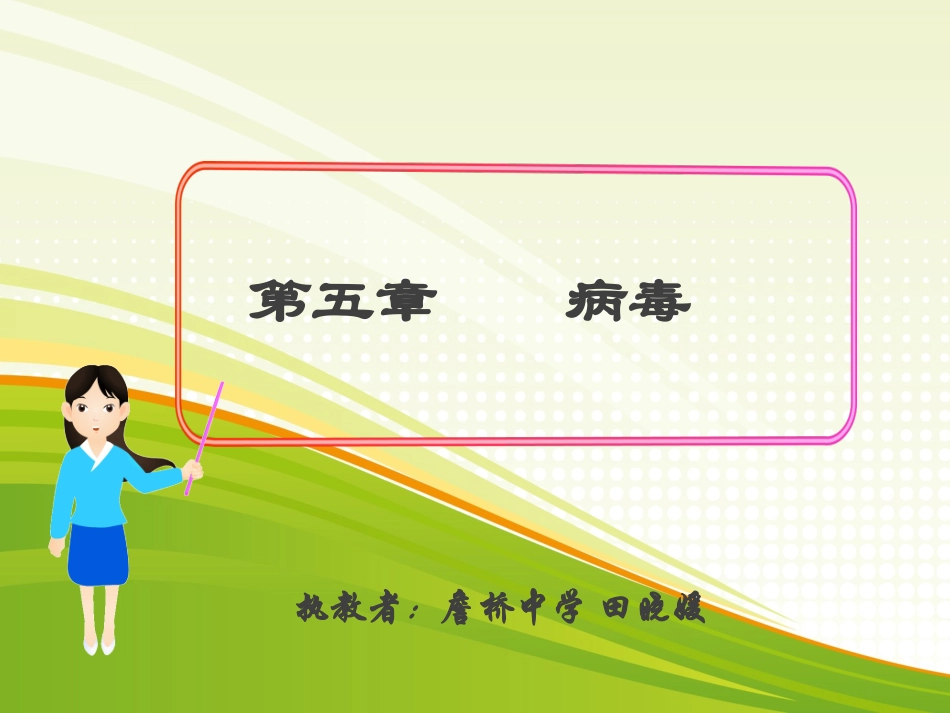 第五章--病毒课件_第3页