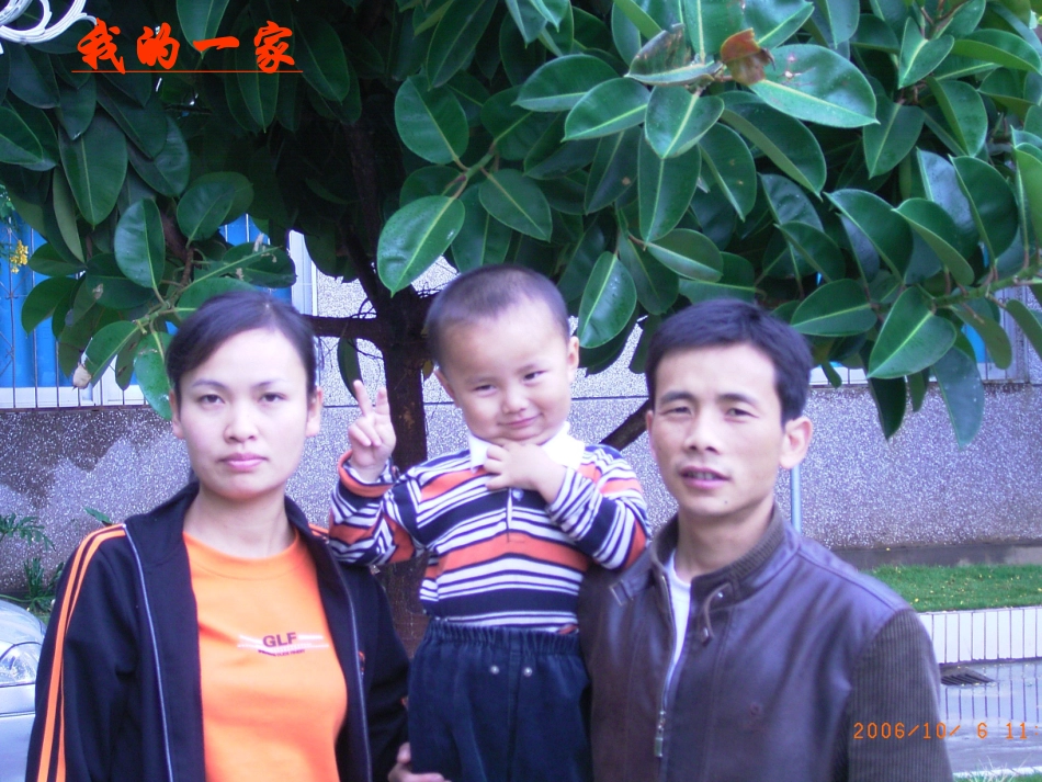 我来画棵家庭树_第3页