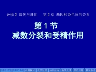 减数分裂和受精作用(精简版)