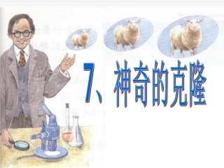 8、神奇的克隆
