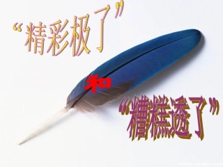 《精彩极了和糟糕透了》教学课件(1)