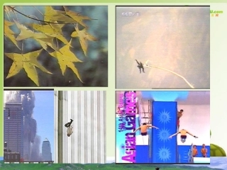 高中物理 2-3《匀变速直线运动实例——自由落体运动》精品课件 鲁科版必修1