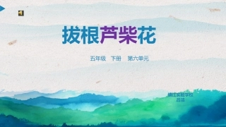 唱：拔根芦柴花凤阳花鼓