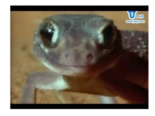 2018年澳大利亚(课改GH)