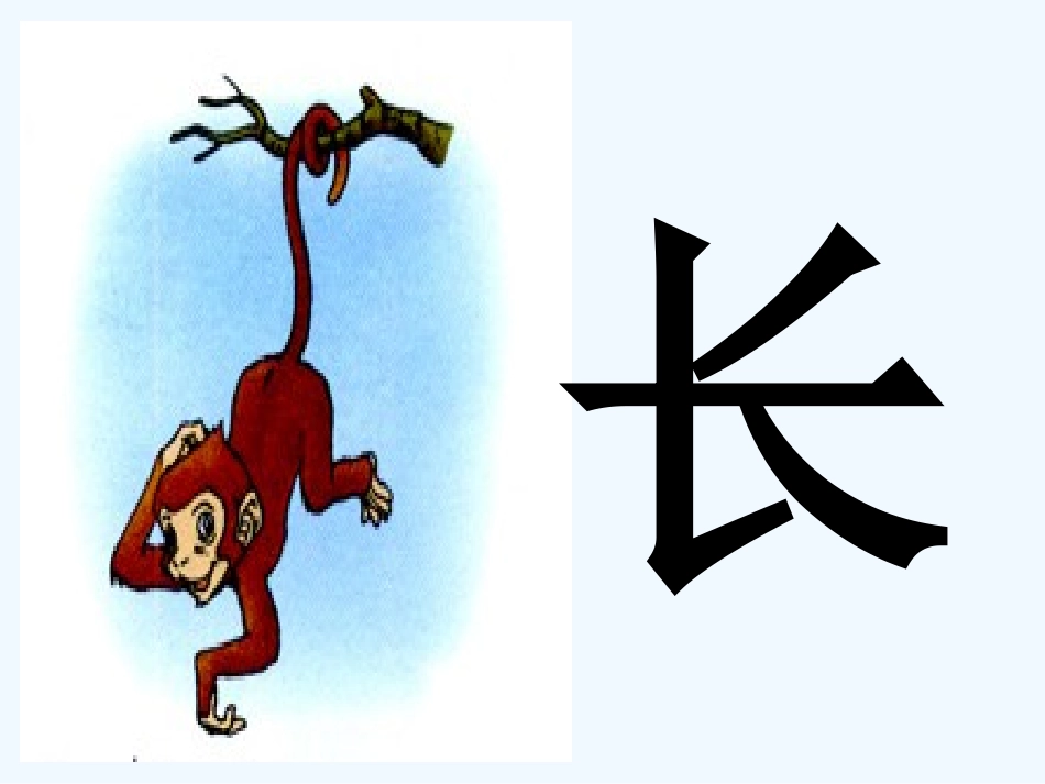 (部编)人教2011课标版一年级上册6比尾巴-(3)_第3页