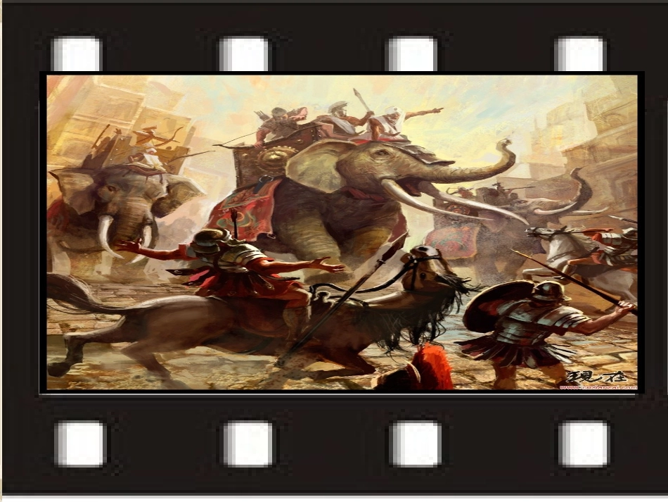 最后一头战象课件_第2页