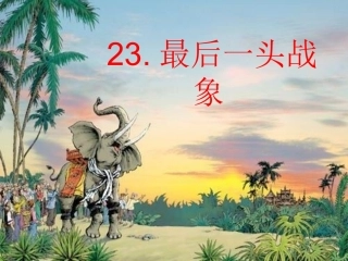 最后一头战象课件