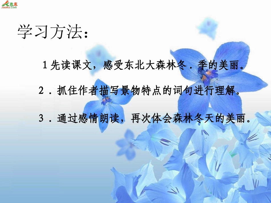 17.东北大森林 (2)_第2页