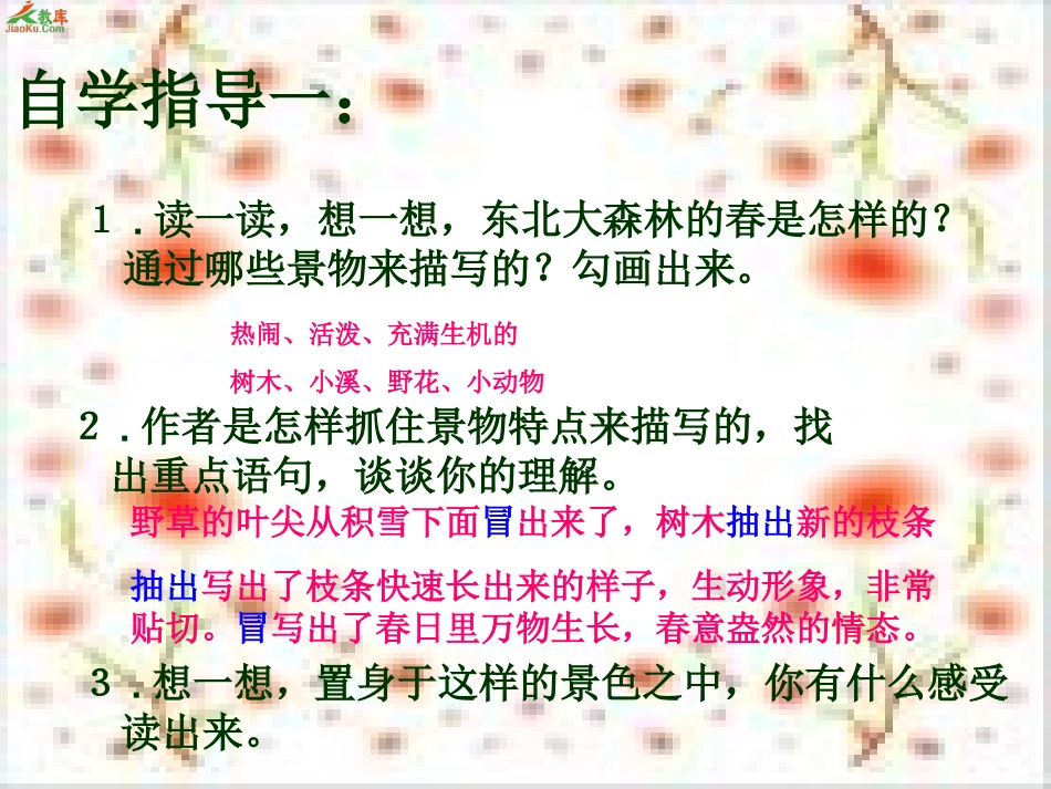 17.东北大森林 (2)_第3页