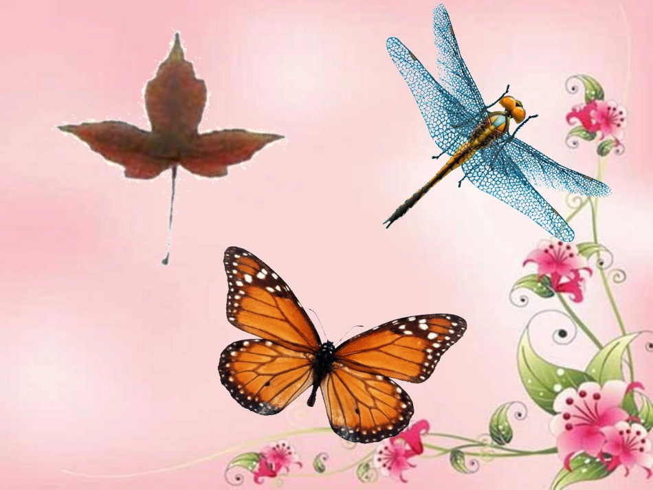 小学数学2011版本小学四年级轴对称课件及欣赏课件_第1页