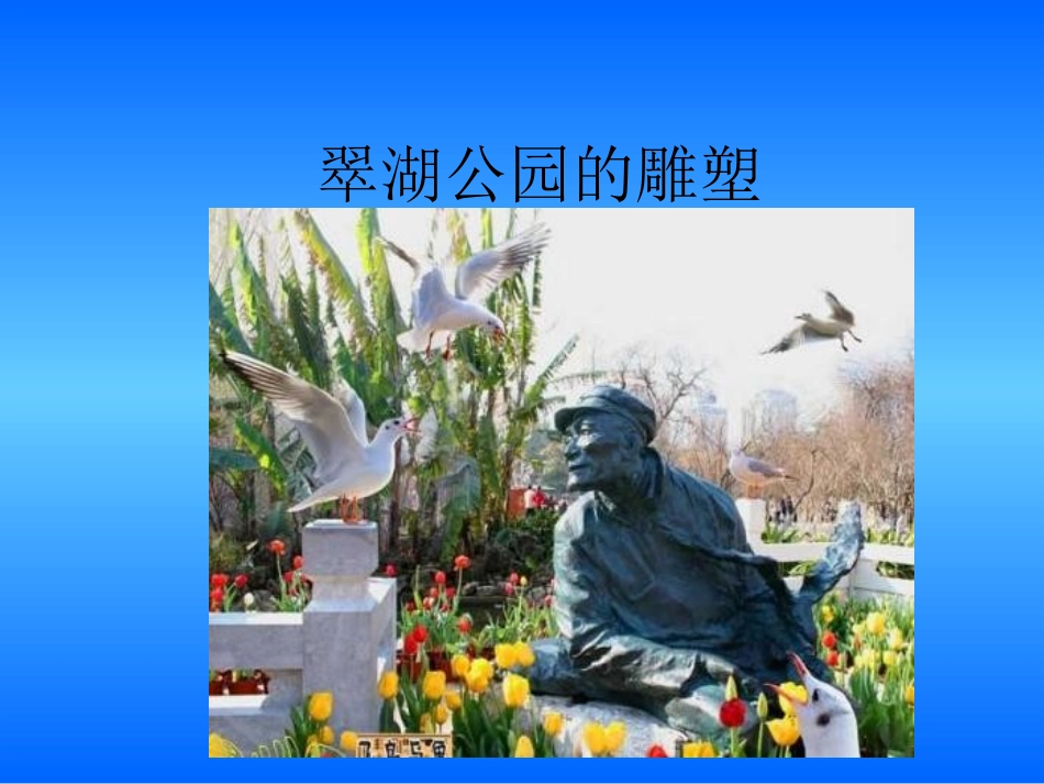 人教版小学语文六年级上册《老人与海鸥》课件PPT_第1页