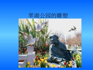 人教版小学语文六年级上册《老人与海鸥》课件PPT