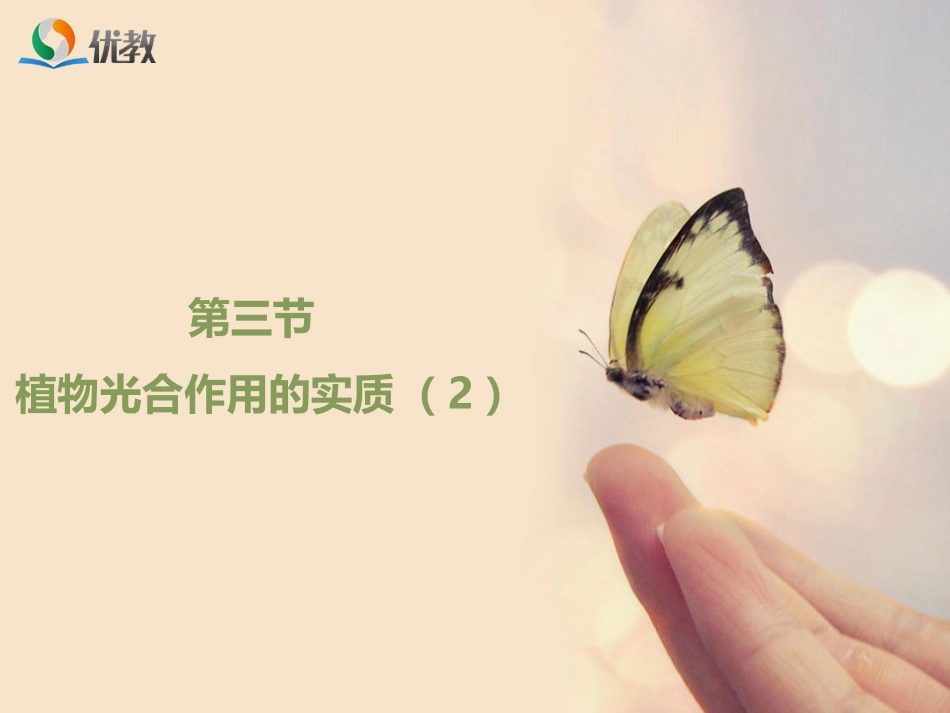 第三节植物光合作用的实质-(3)_第1页