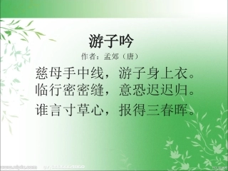 《慈母情深》.ppt