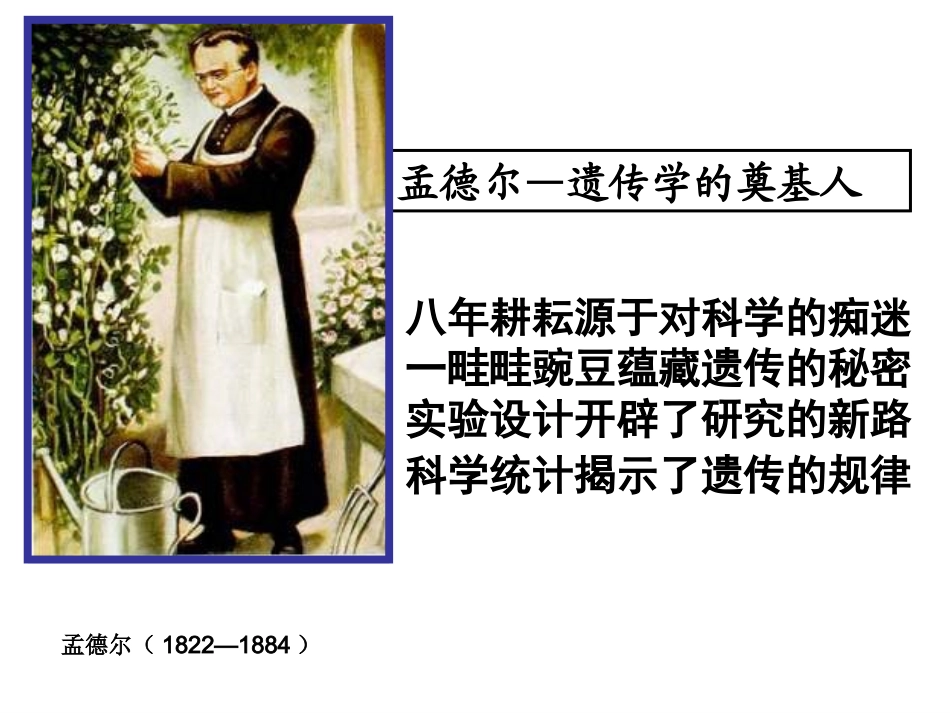 高一生物孟德尔的豌豆杂交实验1_第3页