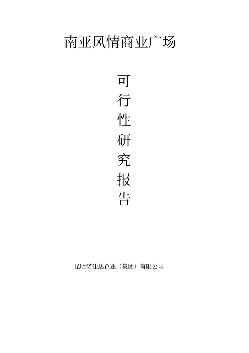 云南昆明南亚风情商业广场可行性研究-48-2008年_第1页