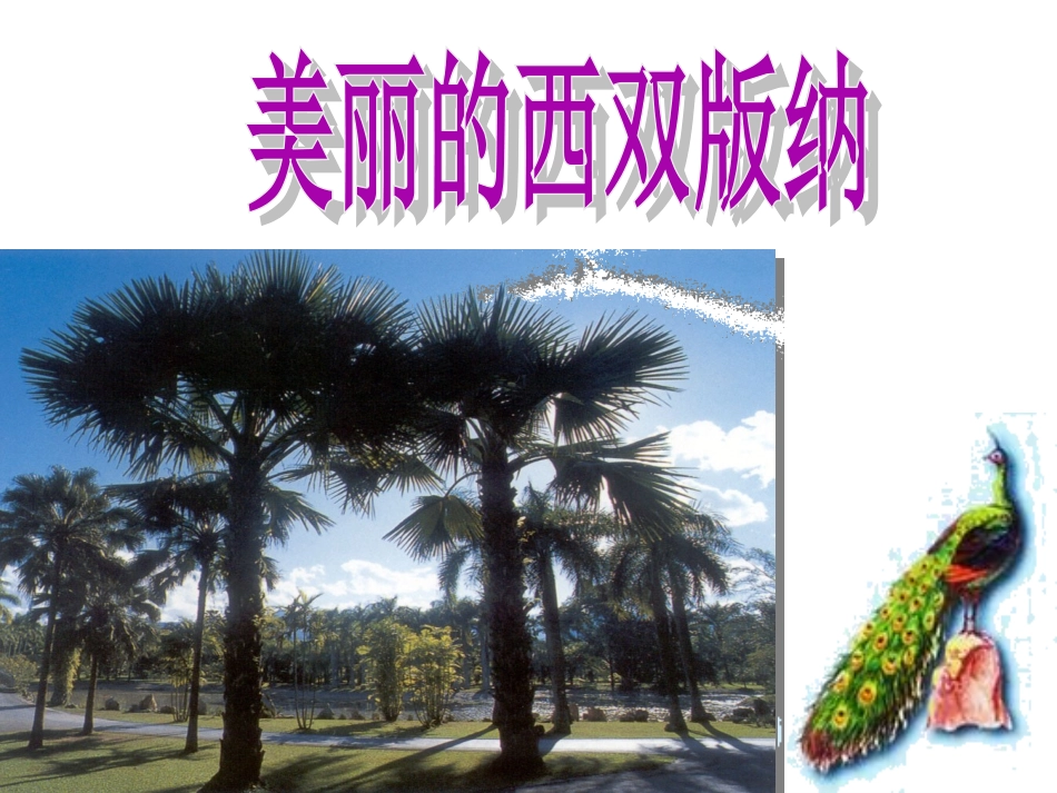 第九课美丽的西双版纳_第1页