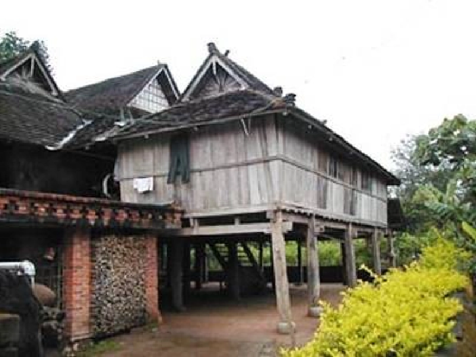 第九课美丽的西双版纳_第3页