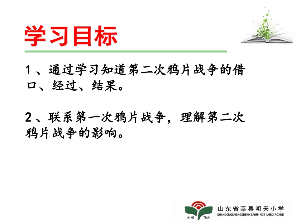 第二次鸦片战争_第3页