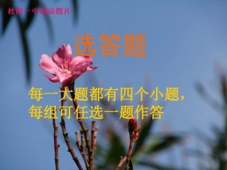 语文知识抢答赛