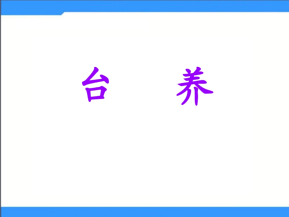 《从台湾飞回来的鸽子》课件_第2页