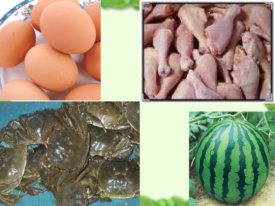 生的食物和熟的食物演示稿_第2页